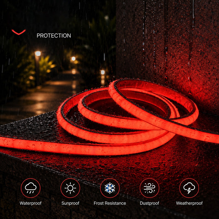 50M FCOB Neon Rope Light Kit, 10W/M, 800Lm/M, Red