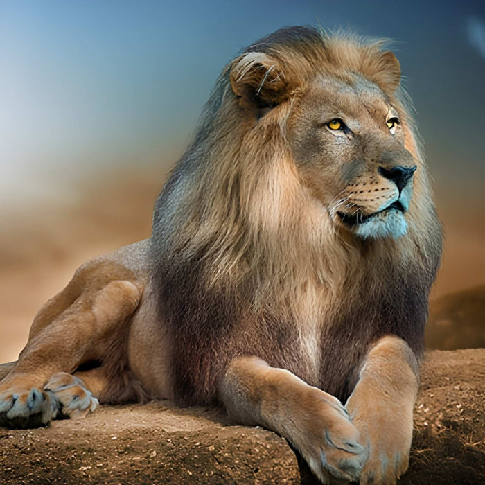 Big and Proud Lion Print Plush Fleece Throw Blanket