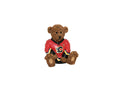 Calgary Flames Captain Iginla Series Teddy Bear Figurine