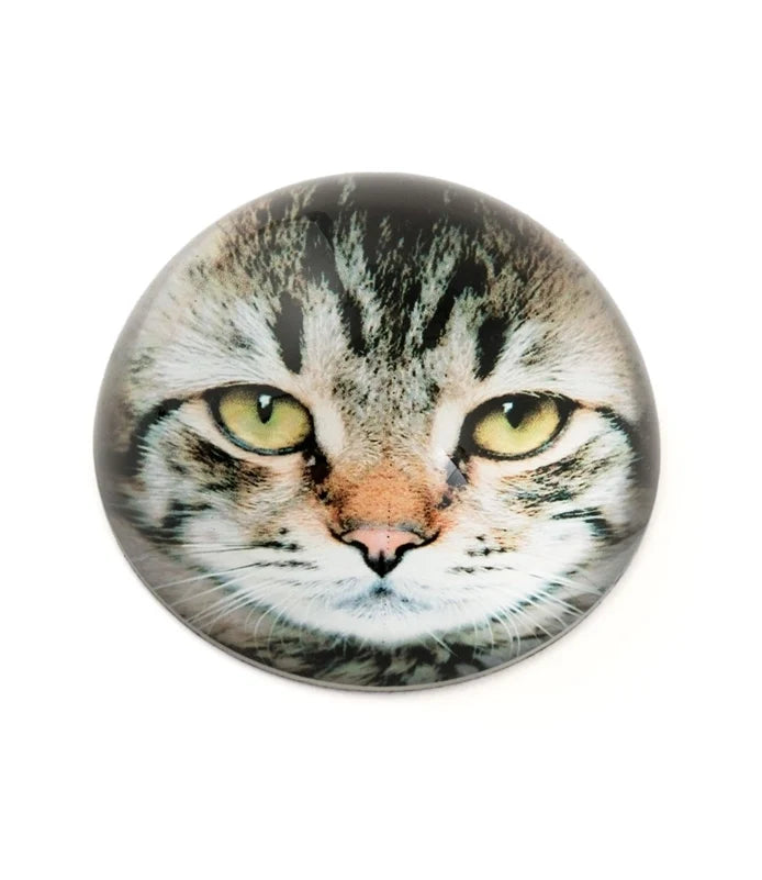 Cat Paperweight