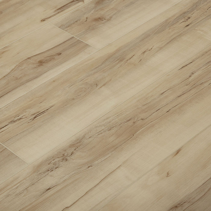 Spalted Wood