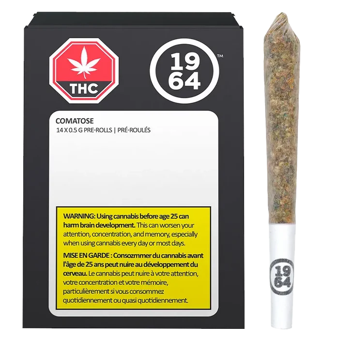 Front-facing black box and single pre-roll on white background featuring the Comatose PR 14 x 0.5 g branding and visible warning label.