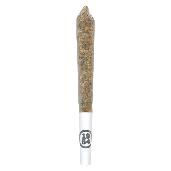 Center-aligned close-up of a rolled joint on white background labeled "Comatose PR 14 x 0.5 g" with visible paper tip and packed herb.