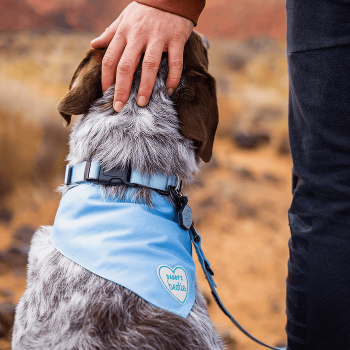 Daddy’s Bestie  | Velcro or Iron-On Patches For Pets