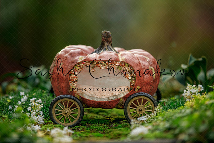 Digital Backdrop