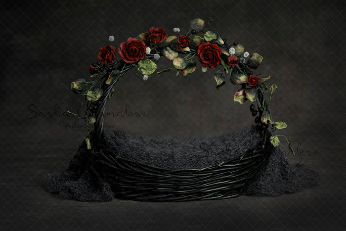 Digital Backdrop