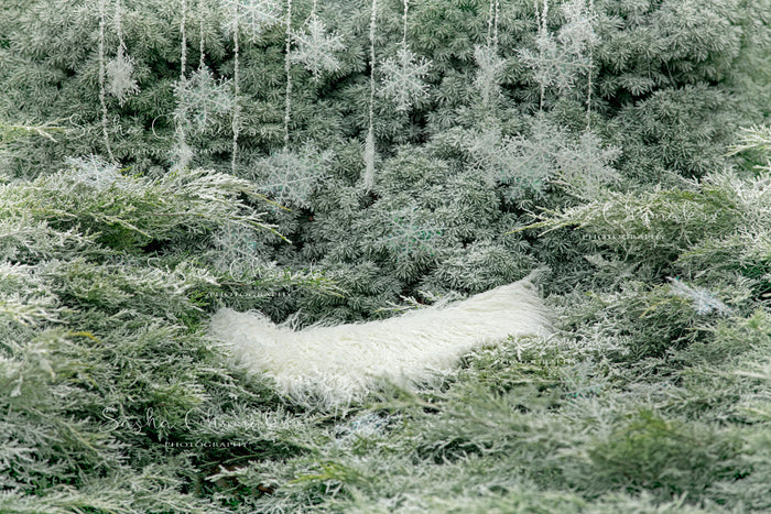 Digital Backdrop