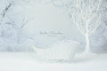 Digital background