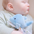 Dolphin Comforter