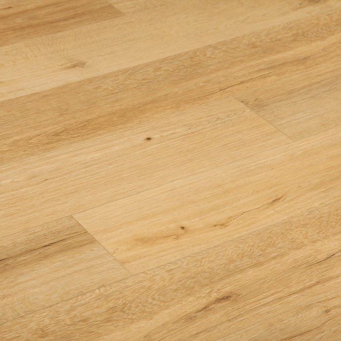 Elevation Waterproof 5.5mm Rigid Core Luxury Vinyl Plank Flooring in Moeraki