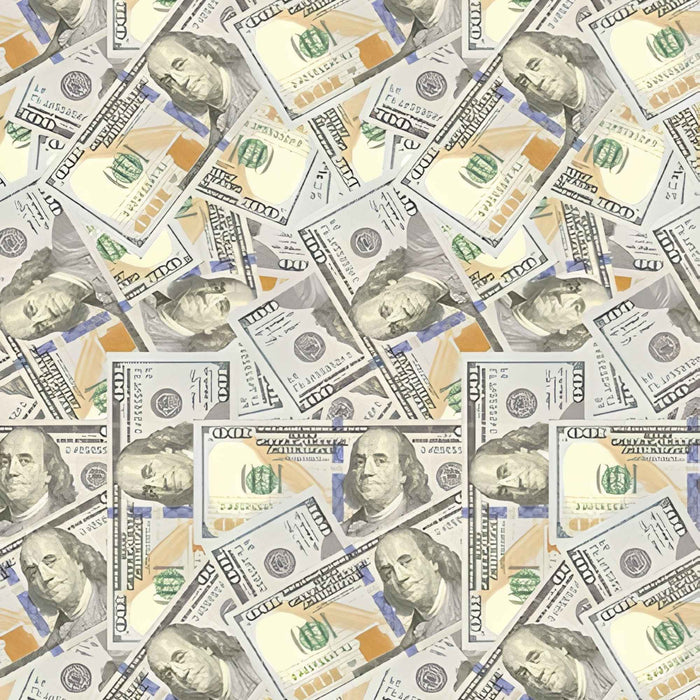 Endless US Dollar Bills Money Print Plush Fleece Throw Blanket