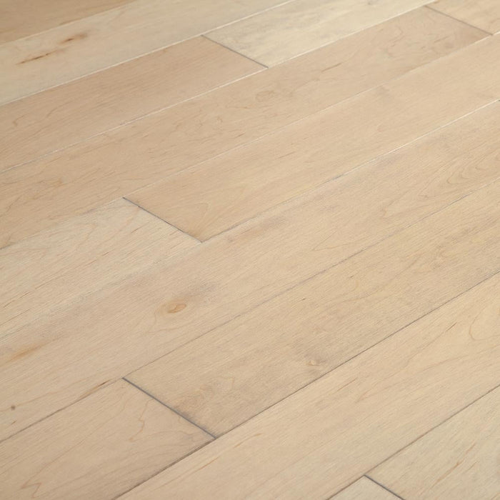 Engineered Hardwood - Foundation Collection - Limited Release in Thompson Hard Maple