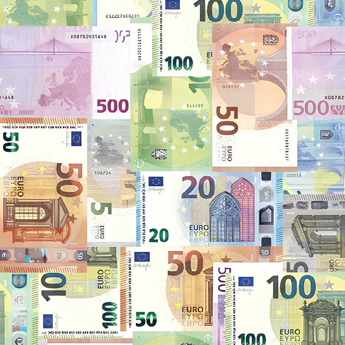 Euro Banknotes Currency Power Print Plush Fleece Throw Blanket