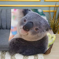 Fluffy Little Koala Bear Print Plush Fleece Throw Blanket