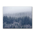 Frozen Trees' Wrapped Canvas Wall Art