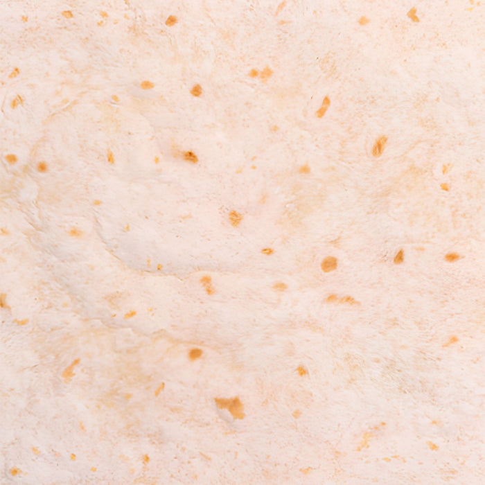 Funny Lavash Print Plush Fleece Throw Blanket