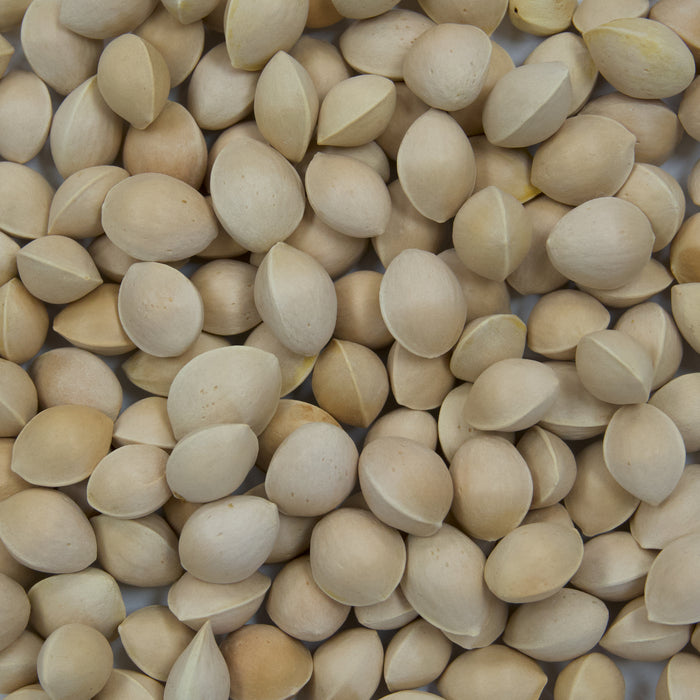 Ginkgo Tree Seeds (Ginkgo biloba) [PACKET ONLY]