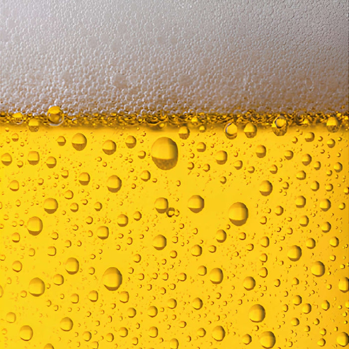 Glass of Beer Pattern Plush Fleece Throw Blanket