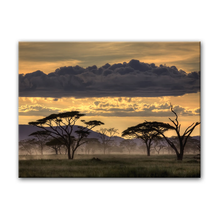 Good Evening Tanzania' Wrapped Canvas Wall Art