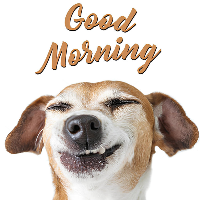 Good Morning Coffee & Sunrise Print Plush Fleece Throw Blanket