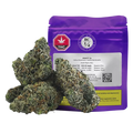 Front view of the purple Gravity 7 g pouch with three frosty cannabis buds arranged in front, shot on a white background.