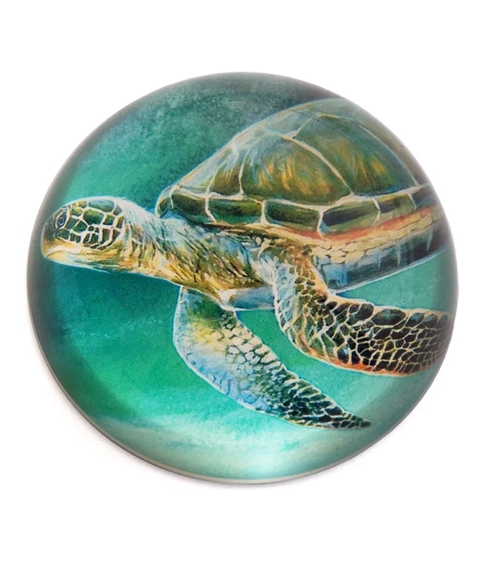 Green Sea Turtle Paperweight