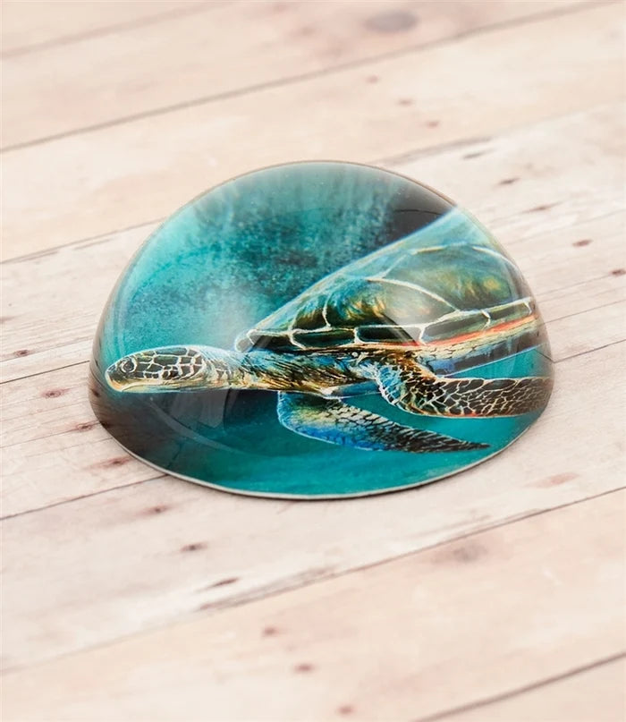 Green Sea Turtle Paperweight