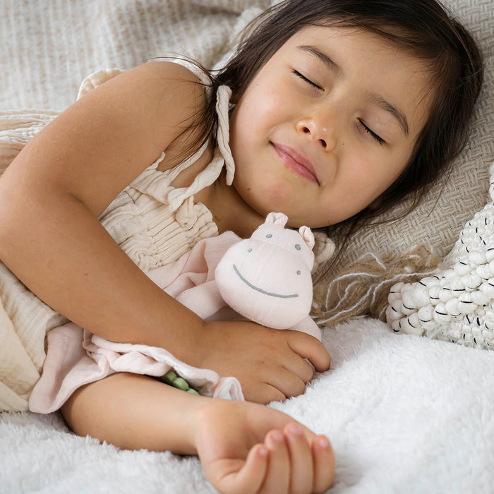 Hippo Comforter with Rubber Teether