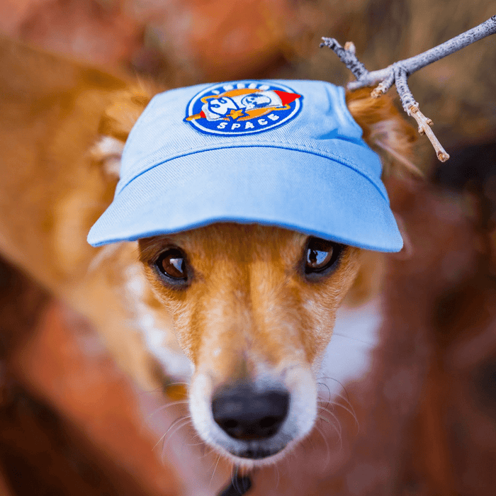 I Need Space | Velcro or Iron-On Patches For Pets