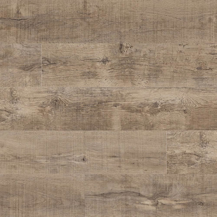 Century Oak
