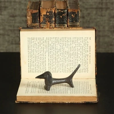 "Lump" Picasso’s Dog