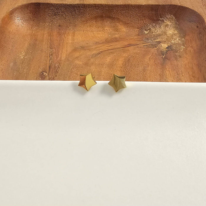 Luxe Star Stud Earrings