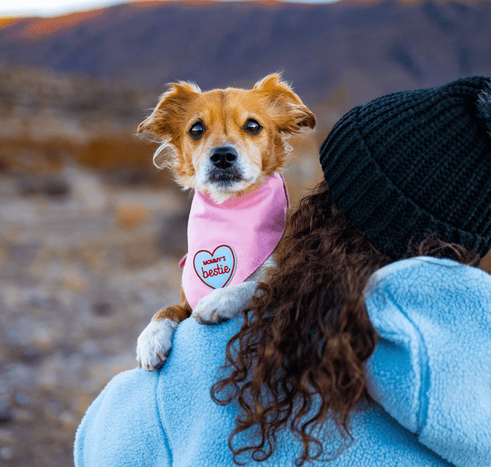 Mommy’s Bestie  | Velcro or Iron-On Patches For Pets