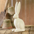 Moon Hare