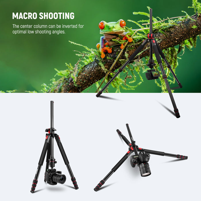NEEWER N284L+G0 Camera Tripod Monopod is perfect for macro shooting.