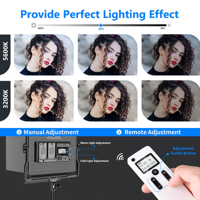 NEEWER NL660 2.4G Bi-Color LED Video Light