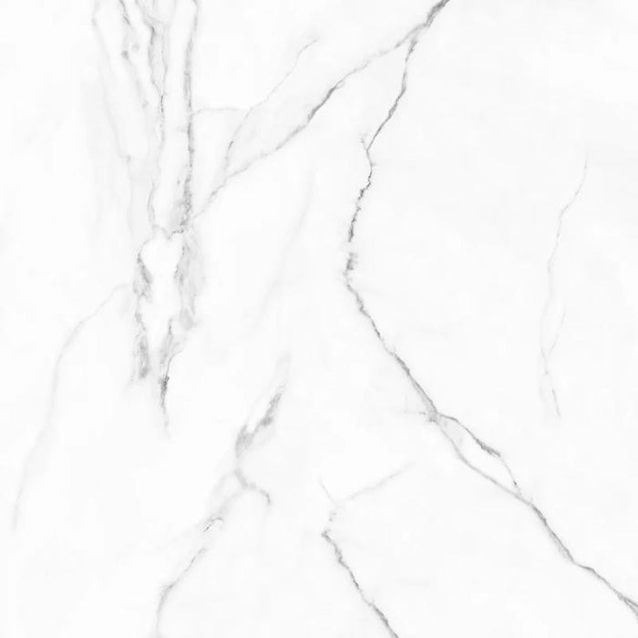 Olimpo 48x48 Polished Marble Look Porcelain Tile