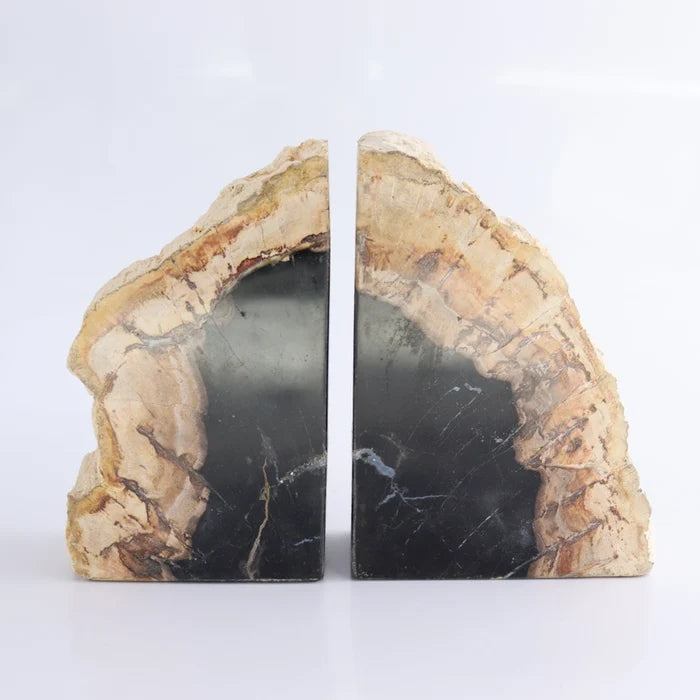 Petrified Wood Bookends