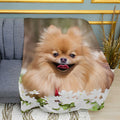 Pomeranian Spitz Dog Art Plush Fleece Throw Blanket