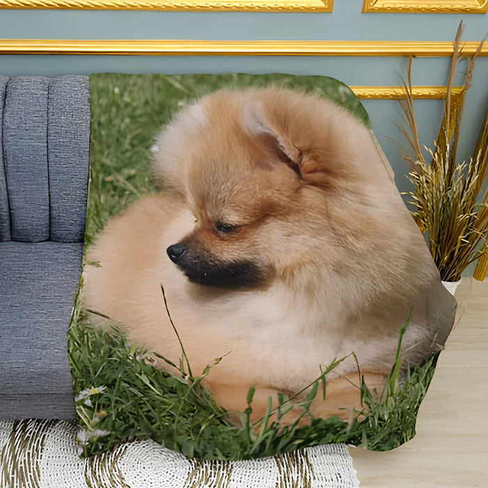 Pomeranian Spitz Dog Print Plush Fleece Throw Blanket