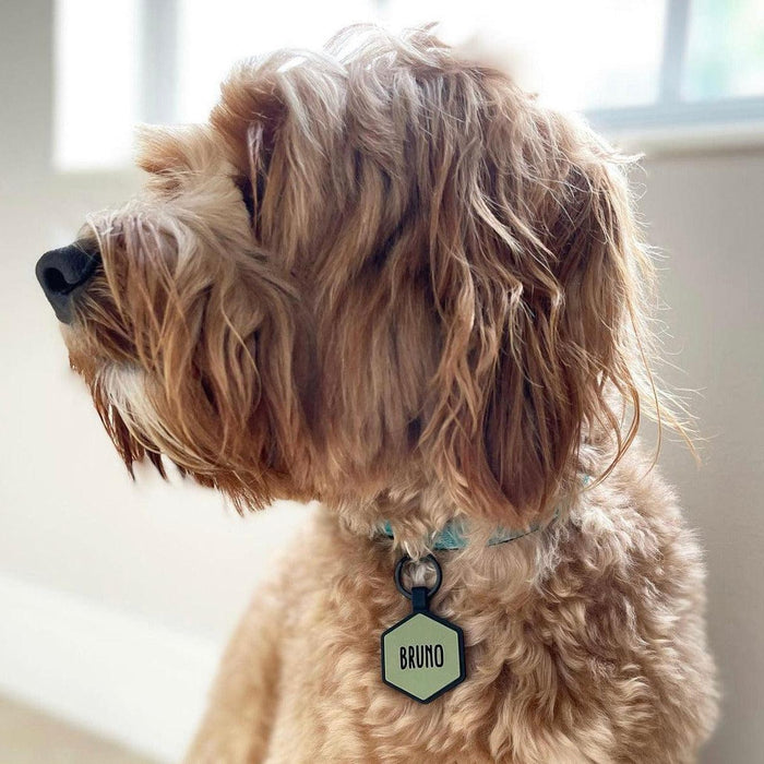 QR Code Sage Silicone ID Tag