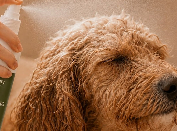 RC Dog Detangling Spray