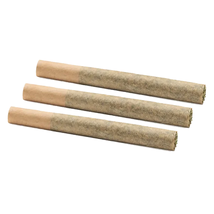 Three rolled cones photographed at a slight angle on white background, showing the paper tips and packed ends of the Roll-X PR 3 x 0.5 g.