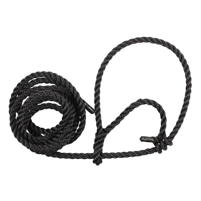 Sullivan Poly Cow Halter