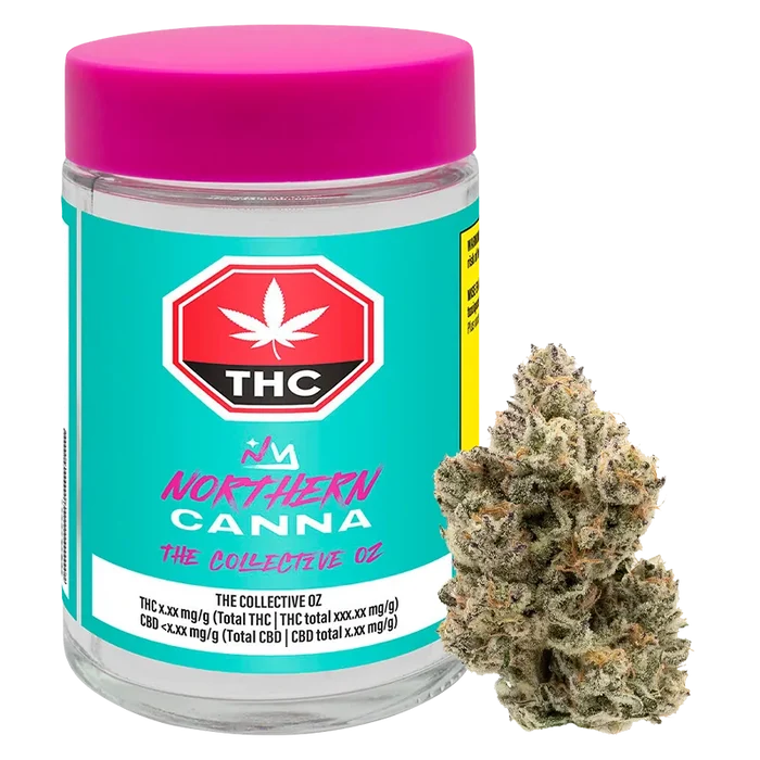 Clear front view of a teal-labeled jar with a pink lid and a cannabis bud beside it, labeled "The Collective Oz."