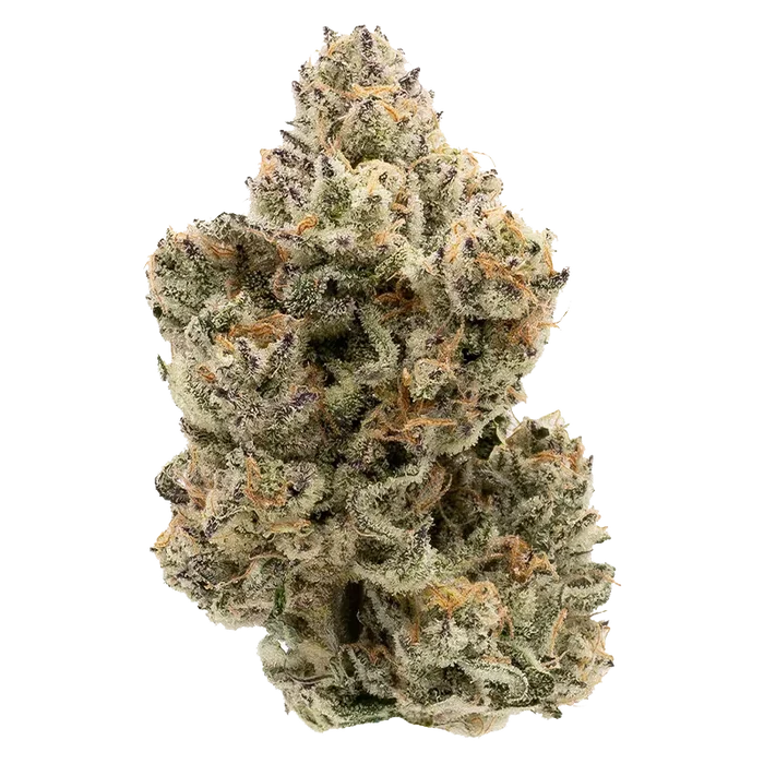 Close-up front view of a frosty cannabis bud from The Collective Oz showing dense green and purple flowers dusted with white trichomes and orange pistils.
