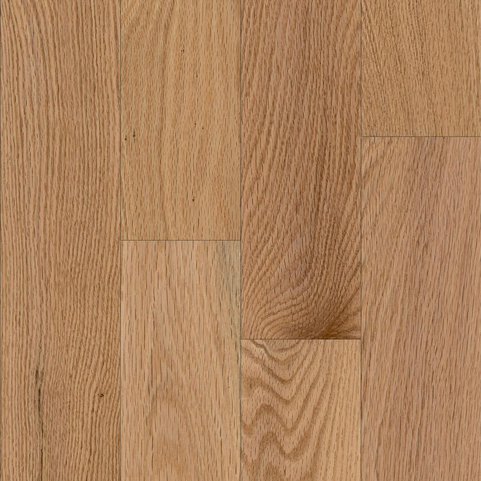 Timberline Solid Hardwood Flooring in Red Oak Natural
