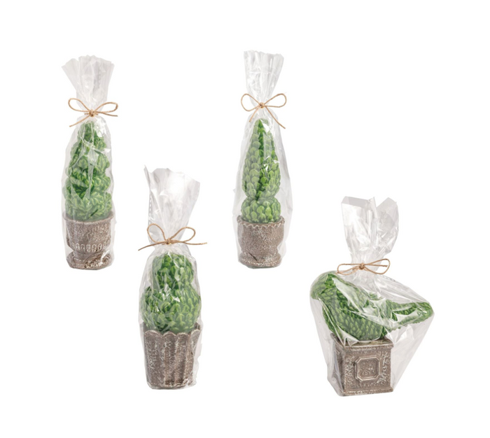 Topiary Candle