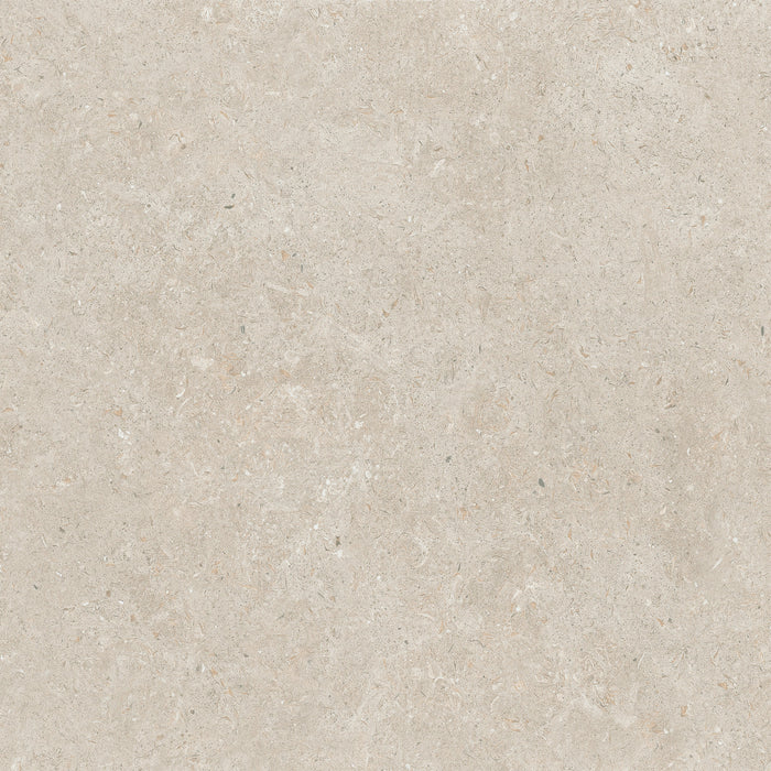 24x24 Matte Porcelain Floor Tile