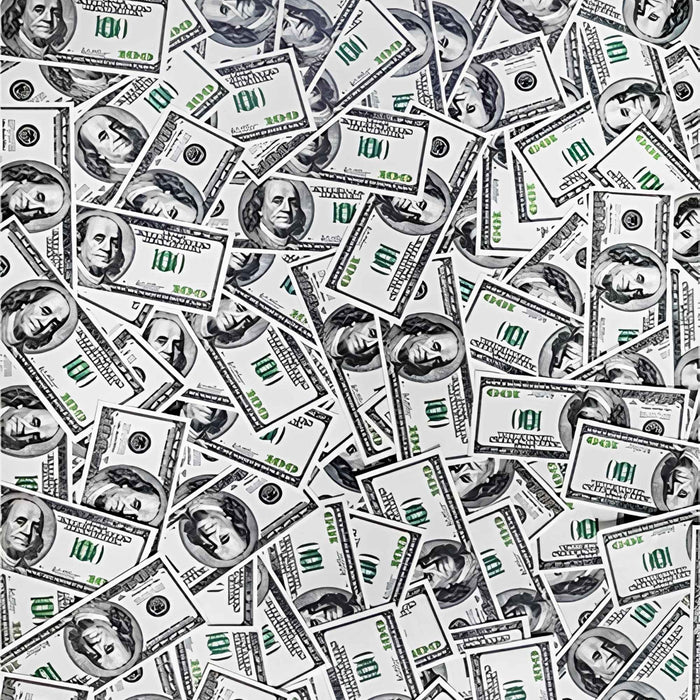 US Dollar Bill Money Print Plush Fleece Throw Blanket